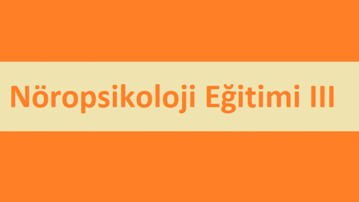 Nöropsikoloji Eğitimi III