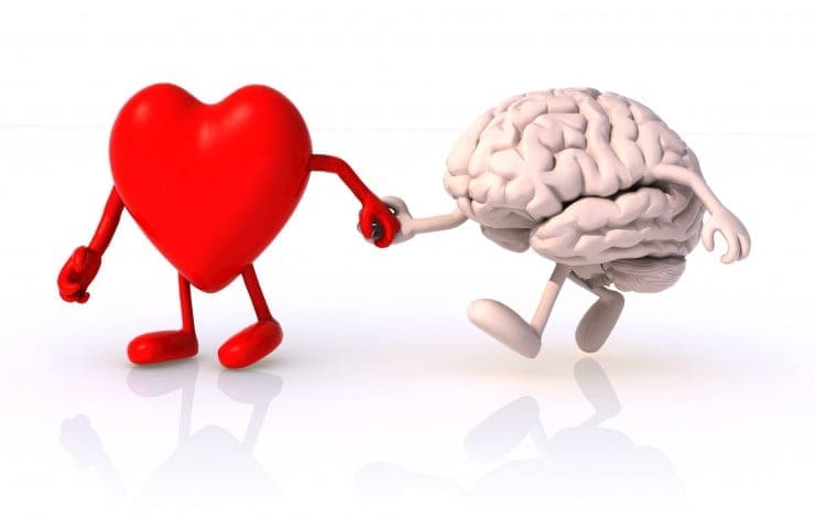 Aşkın Nöral Temelleri
