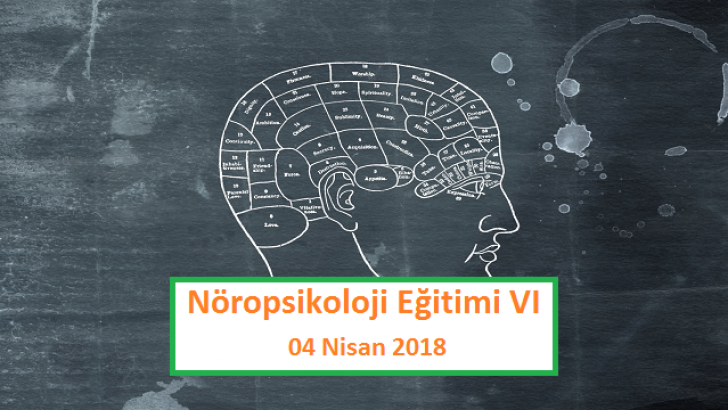 Nöropsikoloji Eğitimi VI