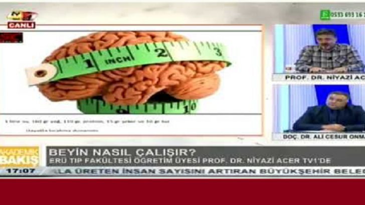 Beyin Nasıl Çalışır?