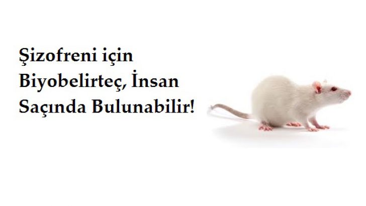 Şizofreni için Biyobelirteç, İnsan Saçında Bulunabilir!