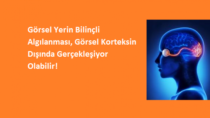 Görsel Yerin Bilinçli Algılanması, Görsel Korteksin Dışında Gerçekleşiyor Olabilir!