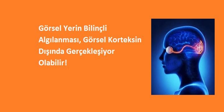 Görsel Yerin Bilinçli Algılanması, Görsel Korteksin Dışında Gerçekleşiyor Olabilir!