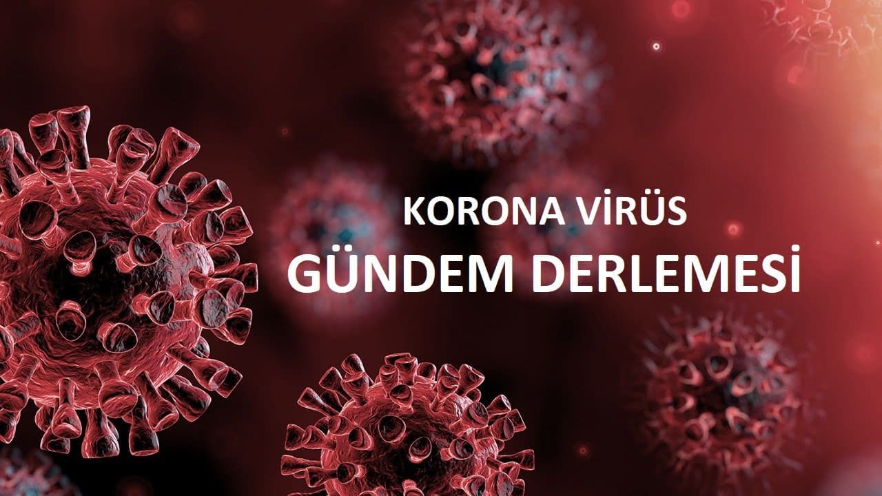 [PDF] Virüs Gündemine Ait Önemli Makalelerden Bir Derleme